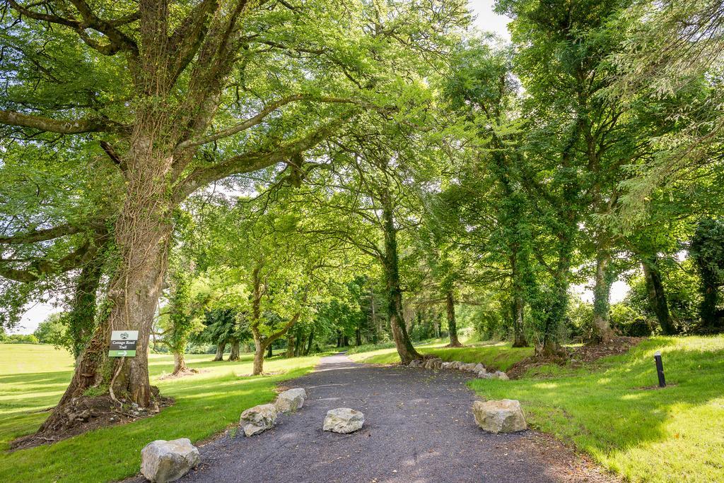 Breaffy Woods Hotel Castlebar Exterior foto